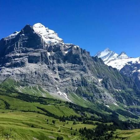Wetterhorn, Eiger, Jungfrau, Amazing! شقة جريندلوالد