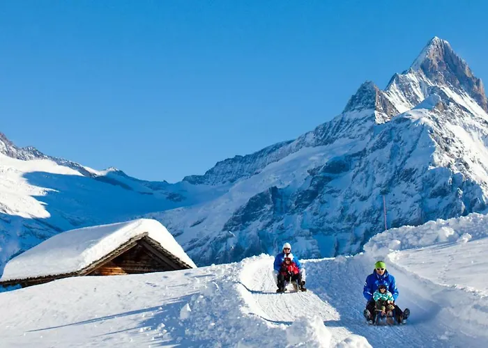 Wetterhorn, Eiger, Jungfrau, Amazing! Lejlighed *