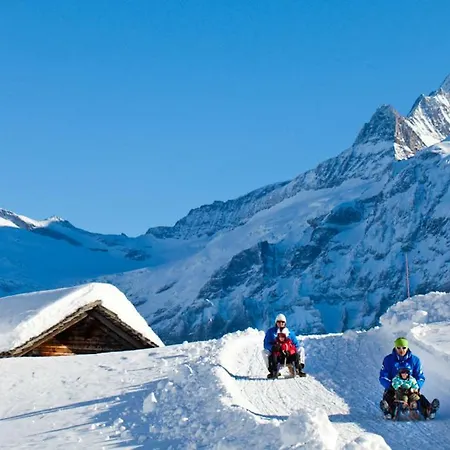Wetterhorn, Eiger, Jungfrau, Amazing! Apartamento *